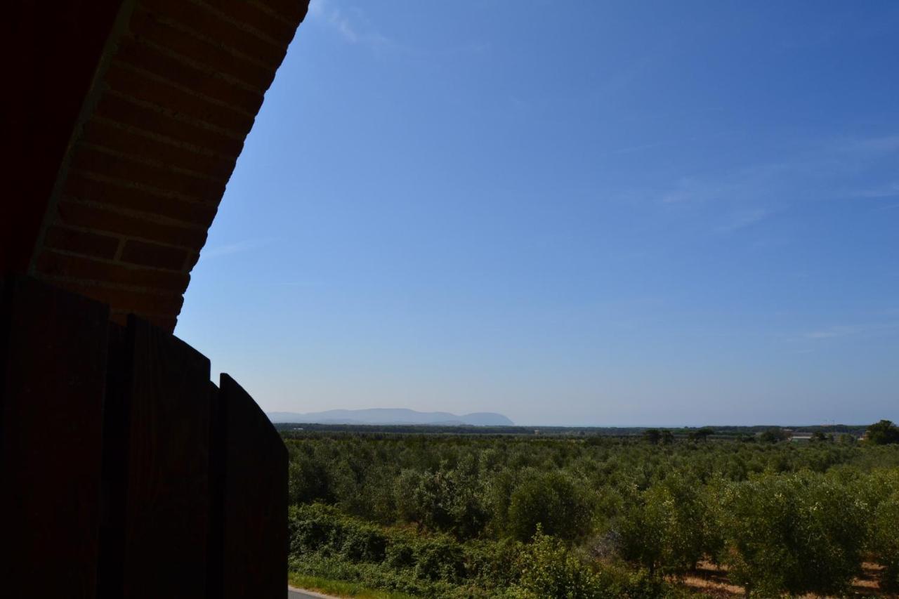 Podere San Giuseppe San Vincenzo Bagian luar foto